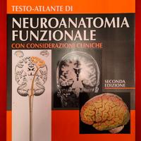 Neuroanatomia funzionale