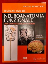 Neuroanatomia funzionale