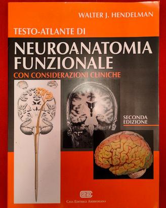 Neuroanatomia funzionale