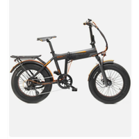 Bicicletta elettrica Armony asso pro