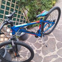 Bicicletta Mtb