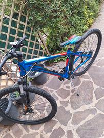 Bicicletta Mtb