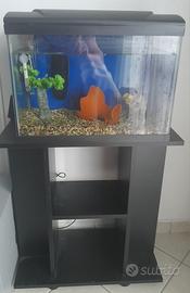 Acquario