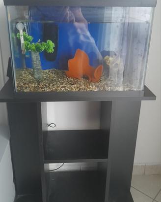 Acquario