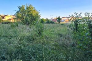 Terreno edificabile in campagna