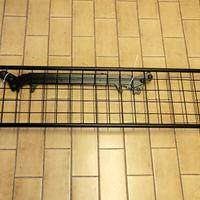 divisorio cani tiguan mk2 