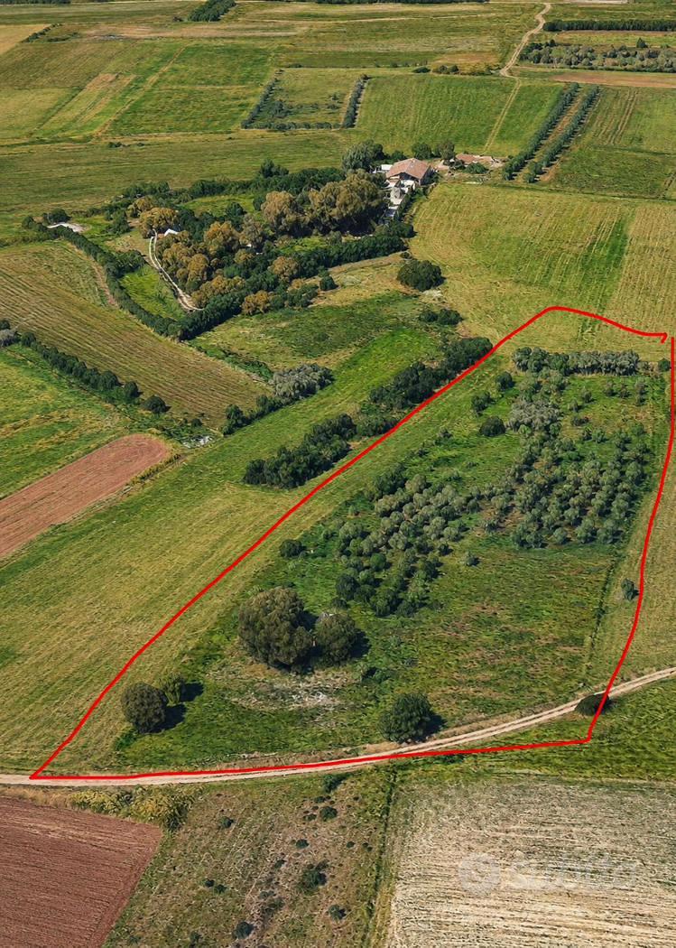 Terreno Agricolo Sestu [Cod. rif 3335356VCG] - Vista 3