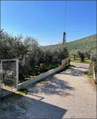 Appartamento – Sezze, Ceriara di Sezze - Vista 4