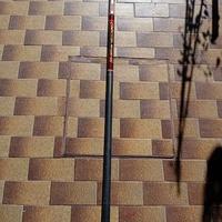 Canna pesca 10 mt Daiwa