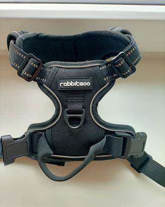 pettorina per cane disponibile taglia s e m