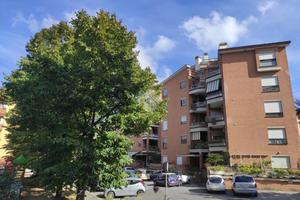 3 LOCALI A ALBANO LAZIALE