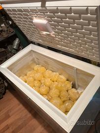 Pozzetto congelatore ocean