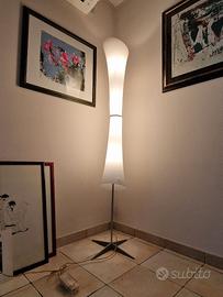 Piantana Lucilla Panzeri