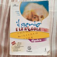 Libro terza media, Algebra