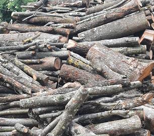 legna secca di bosco