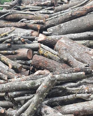 legna secca di bosco