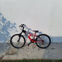 Mountain Bike Esperia Trattabile