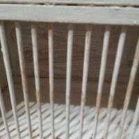 trasportino artigianale per uccelli 