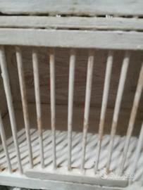 trasportino artigianale per uccelli 