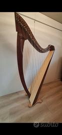 ARPA SALVI MODELLO TITAN 38 CORDE