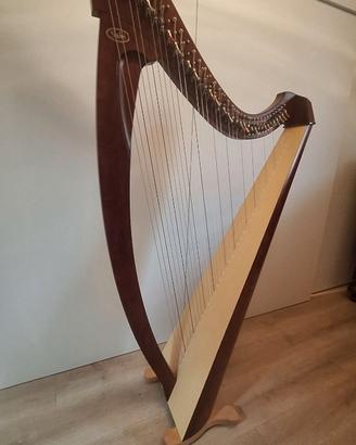 ARPA SALVI MODELLO TITAN 38 CORDE