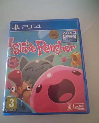 Videogioco