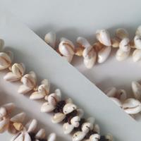 Collana conchiglia vintage 