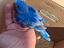 Immagine 1