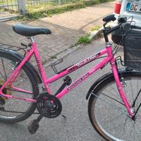 bici tipo donna da passeggio.