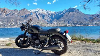 Moto Guzzi V7 III  Stone