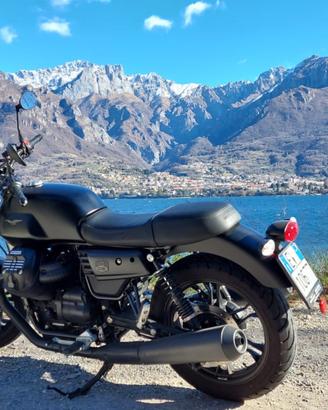 Moto Guzzi V7 III  Stone