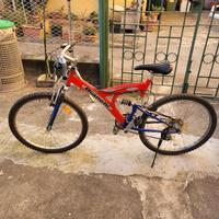 bicicletta  mountain bike bianchi