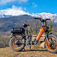 bici elettrica pedalata assistita acceleratore