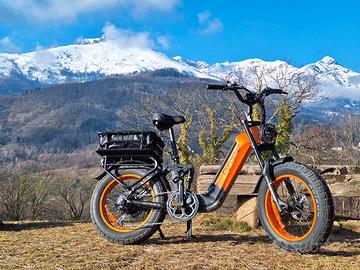 bici elettrica pedalata assistita acceleratore