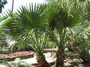 bifamiliare-a-martellago-ve-
