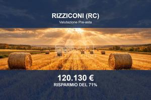 Immobile in asta di 16686 m² a Rizziconi