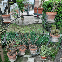 Fioriera circolare da giardino