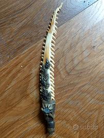 PENNA RICAVATA da UN ACULEO DI RAZZA