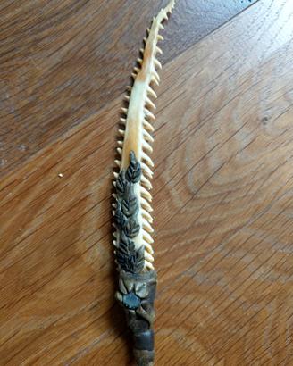 PENNA RICAVATA da UN ACULEO DI RAZZA