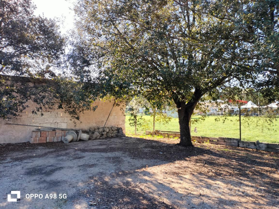 RUSTICO A CASTELLANETA - Vista 6