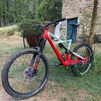 Specialized enduro TG L 2019