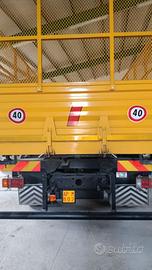 Camion con gru targa gialla