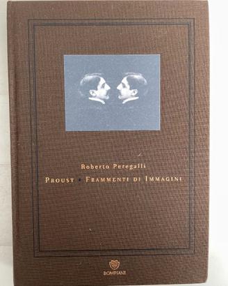 Libri. Proust, Frammenti di immagini