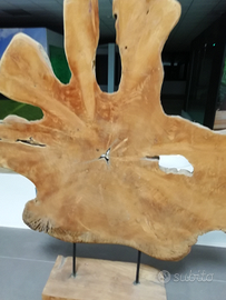 Radice elemento di arredo