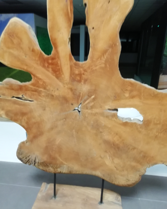 Radice elemento di arredo