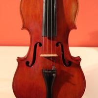 Violino