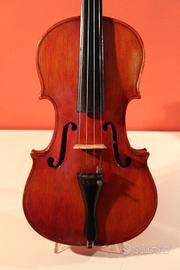 Violino