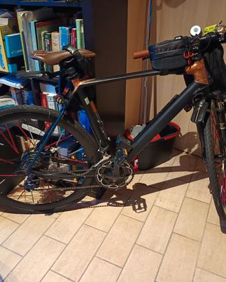 Bicicletta elettrica con pedalata assistita