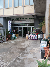 Attività commerciale storica