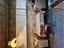Immagine 22